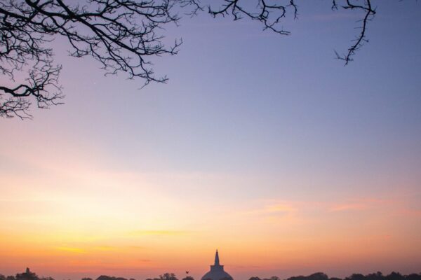 The Mindful Explorer